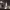 https://res.cloudinary.com/billionhands/image/upload/v1773232026/items/lggzspuxr9ogdiceefwk.jpg-0cover