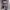 https://res.cloudinary.com/billionhands/image/upload/v1773232068/items/b24biomgk0sqrykw4ghg.avif-1cover