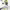 https://res.cloudinary.com/billionhands/image/upload/v1773232092/items/nwqtb5jvyhbzkslz9wcm.png-1cover