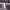 https://res.cloudinary.com/billionhands/image/upload/v1773232135/items/baggi6iccxdqcdbykleg.png-1cover