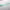 https://res.cloudinary.com/billionhands/image/upload/v1773232137/items/ys42djshse4dtspuy2bl.jpg-2cover