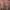 https://res.cloudinary.com/billionhands/image/upload/v1773232196/items/afmvoagjdssngyec7qr8.jpg-1cover