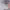 https://res.cloudinary.com/billionhands/image/upload/v1773232197/items/nno8op3ifmhgdtyprjns.avif-3cover