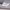 https://res.cloudinary.com/billionhands/image/upload/v1773232298/items/csmcih2yg43nzmlp0qqm.png-1cover