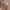 https://res.cloudinary.com/billionhands/image/upload/v1773232314/items/v4ys5qvzwnmckdcv9wyl.jpg-2cover