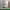 https://res.cloudinary.com/billionhands/image/upload/v1773232330/items/w0ixmiz3eff1dtyz5uof.webp-1cover