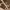 https://res.cloudinary.com/billionhands/image/upload/v1773232335/items/wzjcmqidp6kfbgbrkl9z.jpg-0cover