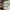 https://res.cloudinary.com/billionhands/image/upload/v1773232409/items/af9irkaxuvojsrwvg0vi.jpg-0cover