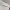 https://res.cloudinary.com/billionhands/image/upload/v1773232417/items/ykfjvpzmtgmvcgptlech.jpg-3cover