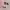 https://res.cloudinary.com/billionhands/image/upload/v1773232465/items/feb6pyh8c9x3co5ovtnn.webp-2cover