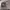 https://res.cloudinary.com/billionhands/image/upload/v1773232468/items/g0c2h6p08cc3ovsuwhcc.jpg-1cover