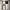 https://res.cloudinary.com/billionhands/image/upload/v1773232585/items/yegwwu9n4hcjmwbsx9z9.avif-3cover