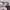 https://res.cloudinary.com/billionhands/image/upload/v1773232612/items/m6z0dkxcockdtzw4z0wl.webp-2cover