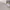 https://res.cloudinary.com/billionhands/image/upload/v1773232643/items/uykzdzy5buuddxv7d1vs.jpg-3cover