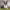https://res.cloudinary.com/billionhands/image/upload/v1773232689/items/h2jk03enfiqj4aqz0y20.jpg-2cover