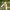 https://res.cloudinary.com/billionhands/image/upload/v1773232691/items/tk8eoir8magoksf4mzdf.webp-2cover