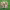 https://res.cloudinary.com/billionhands/image/upload/v1773232693/items/ilaorev8aing7z6vozoh.webp-3cover