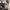https://res.cloudinary.com/billionhands/image/upload/v1773232695/items/ibgfswh2daxmsv1hcisy.jpg-3cover