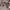 https://res.cloudinary.com/billionhands/image/upload/v1773232780/items/ly8m8jlzhldiafe5dasc.webp-3cover