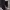 https://res.cloudinary.com/billionhands/image/upload/v1773232863/items/coozya3tfsinhgiffjeu.jpg-2cover