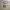 https://res.cloudinary.com/billionhands/image/upload/v1773232880/items/bgle7nzsrvlgkhjo8n2z.webp-1cover