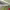 https://res.cloudinary.com/billionhands/image/upload/v1773232884/items/ecaqy2llr1f6whsvrcbl.webp-3cover