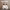 https://res.cloudinary.com/billionhands/image/upload/v1773232914/items/ji8u1olrjhukjf2s0ayt.jpg-1cover