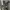 https://res.cloudinary.com/billionhands/image/upload/v1773232931/items/hg9hkhomnfl1oekkqbsw.jpg-2cover