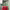https://res.cloudinary.com/billionhands/image/upload/v1773232933/items/ymi2jzrh14inn2y4rlgi.jpg-3cover