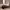 https://res.cloudinary.com/billionhands/image/upload/v1773232934/items/vrlinuedz4mtovjhhssw.jpg-1cover