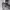 https://res.cloudinary.com/billionhands/image/upload/v1773232935/items/dyqi5dxzxpqausihxgbe.jpg-1cover