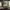 https://res.cloudinary.com/billionhands/image/upload/v1773232937/items/elcixkg2mknfrgtjzx1k.jpg-2cover