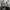 https://res.cloudinary.com/billionhands/image/upload/v1773232950/items/o3st53qtkn8hlyr9swrr.jpg-3cover