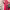 https://res.cloudinary.com/billionhands/image/upload/v1773233000/items/exm2ywfz0bhbzvjylt9r.jpg-3cover
