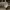 https://res.cloudinary.com/billionhands/image/upload/v1773233034/items/d5kx2kby0hccf8o9ohe5.jpg-1cover