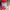 https://res.cloudinary.com/billionhands/image/upload/v1773233042/items/xggowvrqiunnajnfcbjl.jpg-1cover