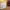 https://res.cloudinary.com/billionhands/image/upload/v1773233089/items/eu8bvzuyfqfmzfkylb3r.jpg-1cover