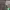 https://res.cloudinary.com/billionhands/image/upload/v1773233200/items/lvbarqxpqywcjnppjpnl.jpg-2cover