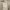 https://res.cloudinary.com/billionhands/image/upload/v1773233218/items/gz5vtsvdplvjpshdeqj1.jpg-2cover