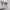 https://res.cloudinary.com/billionhands/image/upload/v1773233223/items/vt9if1zjpsgk6dhhmxbp.jpg-0cover