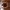 https://res.cloudinary.com/billionhands/image/upload/v1773233264/items/ld1u0ubunftpulde5gn6.jpg-3cover