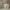 https://res.cloudinary.com/billionhands/image/upload/v1773233278/items/gsecj5qxipysdoy1vjym.jpg-2cover