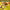 https://res.cloudinary.com/billionhands/image/upload/v1773233350/items/gedbsmbvyxtfmdgk3fpx.jpg-3cover
