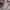 https://res.cloudinary.com/billionhands/image/upload/v1773233350/items/vgsufcteiamcluzxofvs.webp-3cover