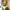 https://res.cloudinary.com/billionhands/image/upload/v1773233355/items/xolpcbaj7bibwmct2dax.jpg-3cover