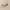 https://res.cloudinary.com/billionhands/image/upload/v1773233357/items/ggnnopdk9tmvo2phwlc2.avif-1cover