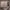 https://res.cloudinary.com/billionhands/image/upload/v1773233392/items/vinamoffcmutx1scysux.jpg-3cover
