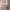 https://res.cloudinary.com/billionhands/image/upload/v1773233418/items/hgin3rkc3fooiltpdz7r.jpg-2cover