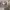 https://res.cloudinary.com/billionhands/image/upload/v1773233480/items/uhrqnmfcbdu0hdeoav5u.jpg-0cover