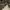 https://res.cloudinary.com/billionhands/image/upload/v1773300050/items/wq1s9gcfmkvfnvqymcth.jpg-3cover